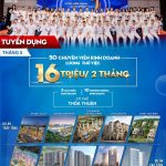 New Sky Land tuyển dụng CVKD với mức lương thử việc chạm ngưỡng 16 triệu/2 tháng